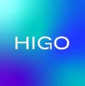 Logo Perusahaan HIGO - Lowongan Kerja Full Stack Developer