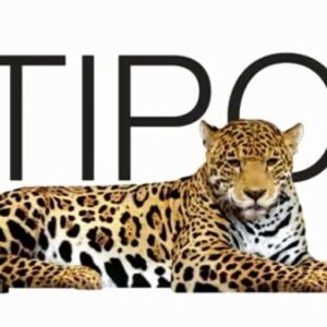 Logo Perusahaan Multipolar Technology - Lowongan Kerja Organizational & People Development