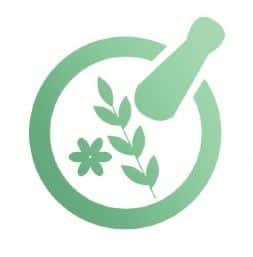 Logo Perusahaan Cipta Sehat Anugrah Indonesia - Lowongan Kerja CONTENT CREATOR